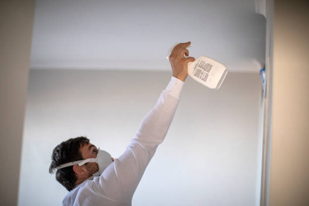 Best Mold Removal Near Me  in Lakemoor, IL