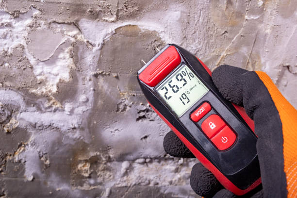 Best Affordable Mold Removal  in Lakemoor, IL
